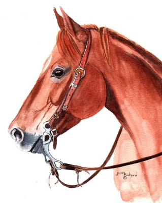 Quarter Horse Gelding - watercolor,  8 x 9