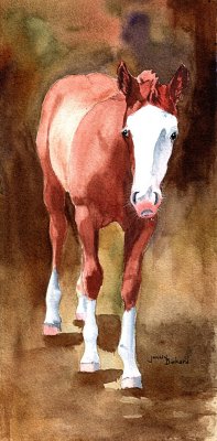 Quarter Horse Foal - watercolor, 5 x 11