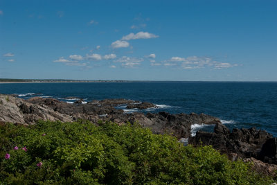 Maine-1.jpg