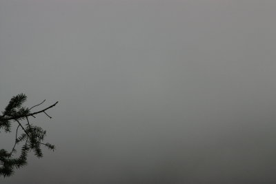 great shot of the Olympic Mountains