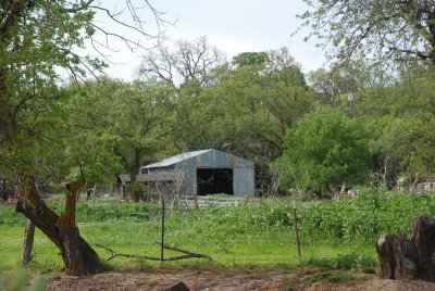 DSC_4804.jpg