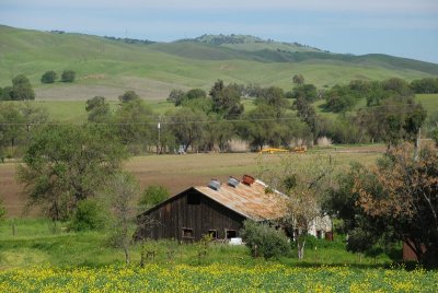 DSC_4842.jpg