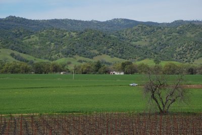 DSC_4846.jpg