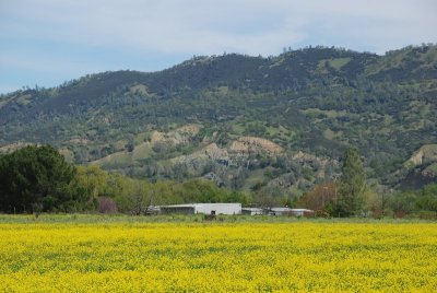DSC_4874.jpg