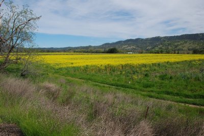 DSC_4876.jpg