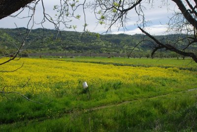 DSC_4896.jpg