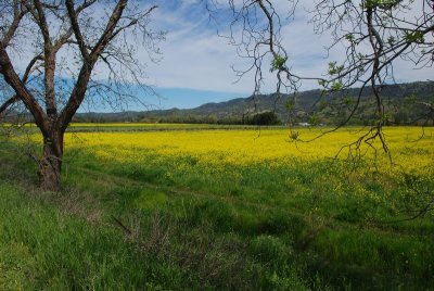 DSC_4900.jpg