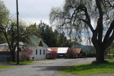 DSC_4919.jpg