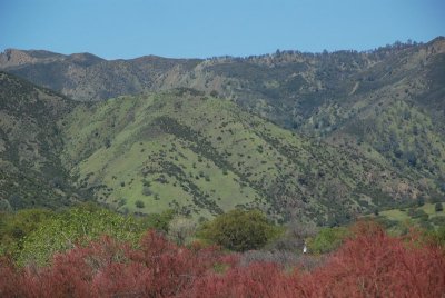 DSC_4963.jpg