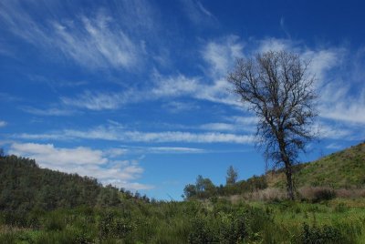 DSC_5011.jpg