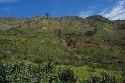 DSC_5021.jpg