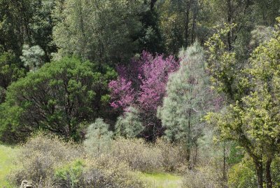 DSC_5051.jpg