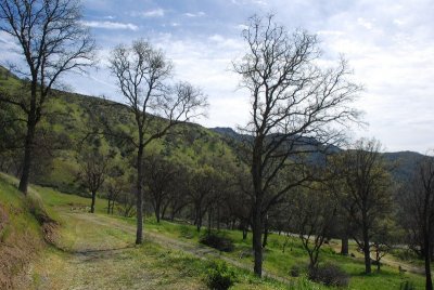 DSC_5052.jpg
