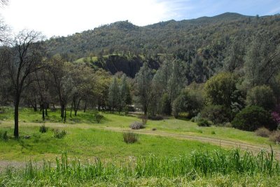 DSC_5054.jpg