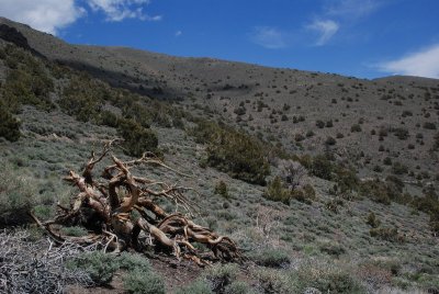 DSC_1911.jpg