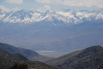 DSC_1935.jpg