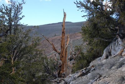 DSC_1985.jpg