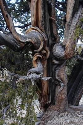 DSC_1990.jpg