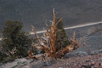 DSC_2017.jpg
