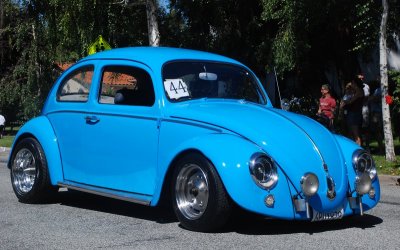 DSC_5633.jpg