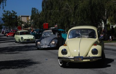 DSC_5677.jpg