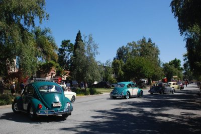 DSC_5684.jpg