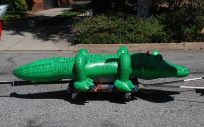 DSC_5721.jpg