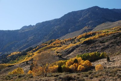 Eastern Sierra - October 2011 (Day 1)