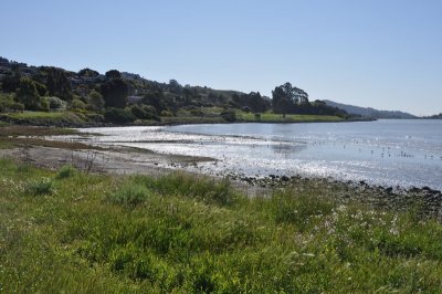 DSC_0640.jpg