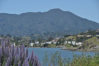 DSC_0667.jpg