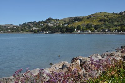 DSC_0710.jpg