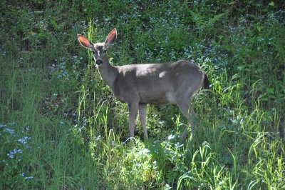 DSC_0773.jpg