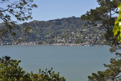 DSC_0804.jpg