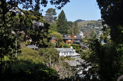 DSC_0837.jpg