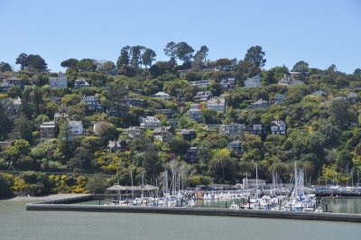 DSC_0969.jpg