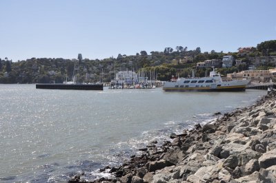 DSC_1145.jpg