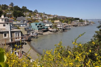 DSC_1194.jpg