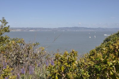 DSC_1295.jpg