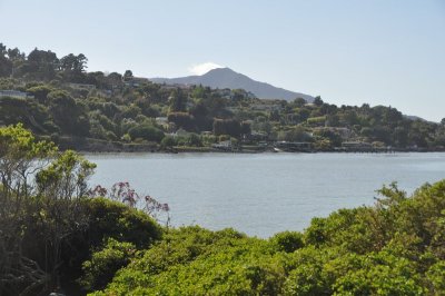DSC_1312.jpg