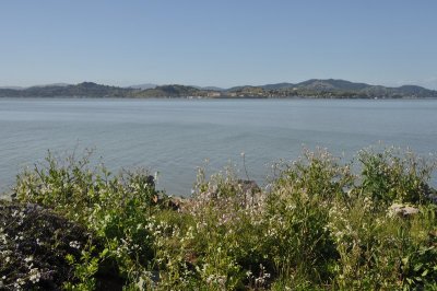 DSC_1313.jpg