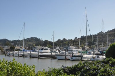 DSC_1333.jpg