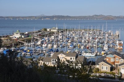 DSC_1372.jpg