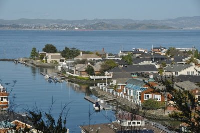 DSC_1394.jpg