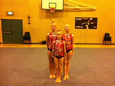 Novice Trio 2011.JPG