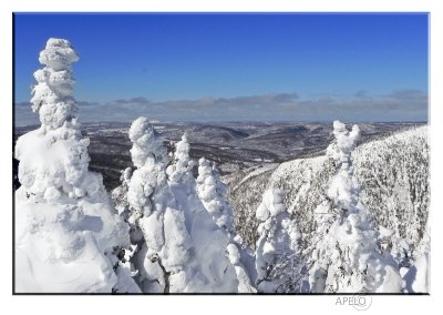 Chic-Chocs Mountains