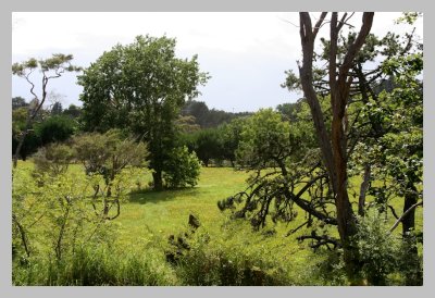 Field off Sandstone Road