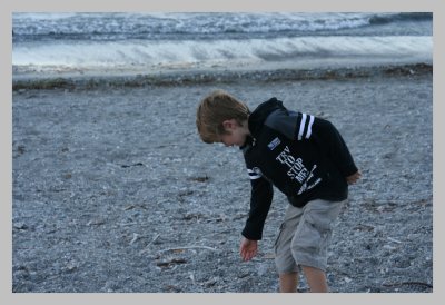 Beach Combing