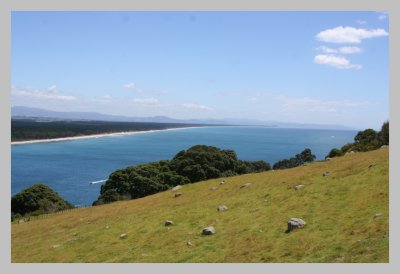 Bay of Plenty from The Mount