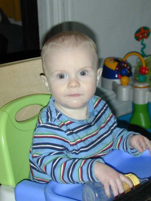 11 Sidney staring.jpg