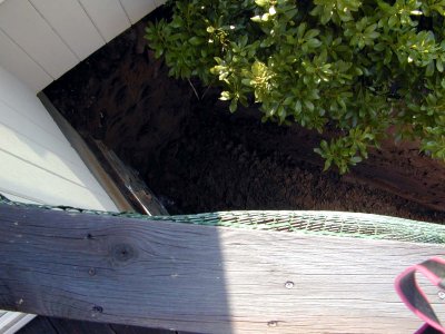 03 South trench 03.JPG